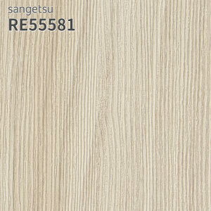 RE55581 ǎ ؖڒ TQc U[u ̂Ȃ NX