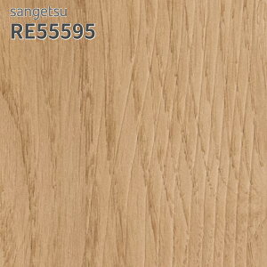 RE55595 ǎ ؖڒ TQc U[u ̂Ȃ NX