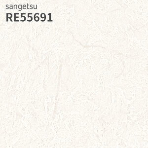 RE55691 ǎ K a a a TQc U[u ̂Ȃ NX