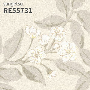 RE55731 ǎ EDA ԕ TQc U[u ̂Ȃ NX