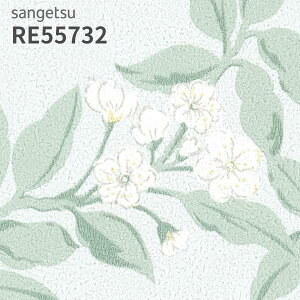 RE55732 ǎ EDA ԕ TQc U[u ̂Ȃ NX