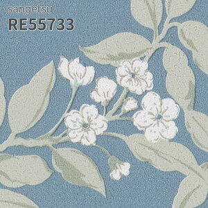 RE55733 ǎ EDA ԕ TQc U[u ̂Ȃ NX