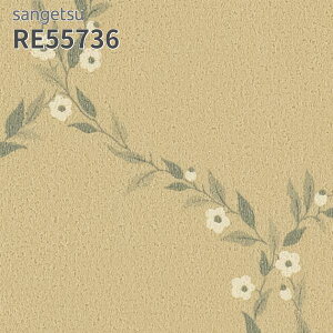 RE55736 ǎ EDA ԕ TQc U[u ̂Ȃ NX