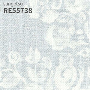 RE55738 ǎ EDA ԕ TQc U[u ̂Ȃ NX