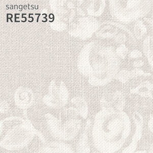 RE55739 ǎ EDA ԕ TQc U[u ̂Ȃ NX