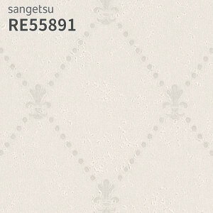 RE55891 ǎ ԕ t[ TQc U[u ̂Ȃ NX