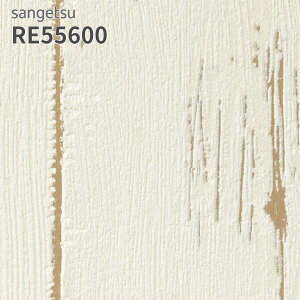 RE55600 ǎ ؖڒ TQc U[u ̂Ȃ NX