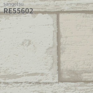 RE55602 ǎ ؖڒ TQc U[u ̂Ȃ NX