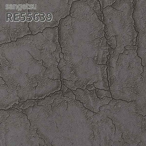 RE55639 �ǎ� �R���N���[�g�� �T���Q�c ���U�[�u �̂�Ȃ� �N���X