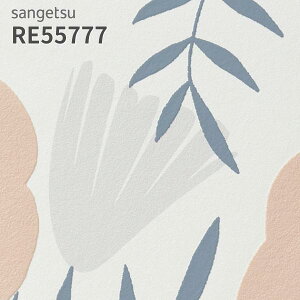 RE55777 ǎ tBC\ ԕ TQc U[u ̂Ȃ NX