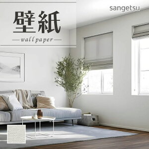 SP2529 ǎ ̂Ȃ ʎYNX TQc