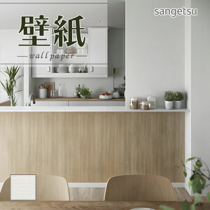 SP2570 ǎ ̂Ȃ ʎYNX TQc