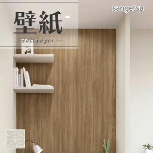 SP2518 ǎ ̂Ȃ ʎYNX TQc