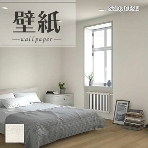 SP2520 ǎ ̂Ȃ ʎYNX TQc