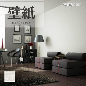 SP2524 ǎ ̂Ȃ ʎYNX TQc