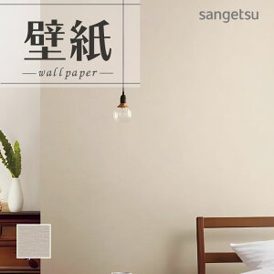 SP2560 ǎ ̂Ȃ ʎYNX TQc