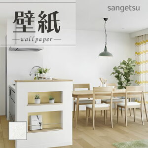 SP2575 ǎ ̂Ȃ ʎYNX TQc