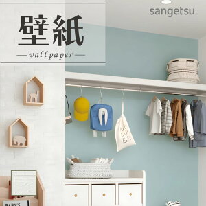 SP2580 ǎ ̂Ȃ ʎYNX TQc