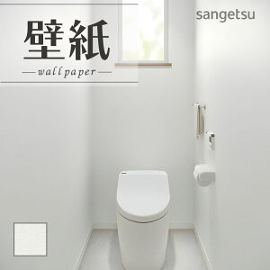 SP2577 ǎ ̂Ȃ ʎYNX TQc