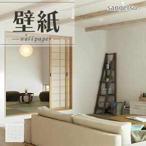 SP2521 ǎ ̂Ȃ ʎYNX TQc