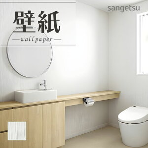 SP2582 ǎ ̂Ȃ ʎYNX TQc