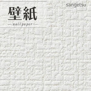 SP2522 ǎ ̂Ȃ ʎYNX TQc