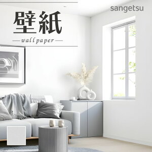 SP2531 ǎ ̂Ȃ ʎYNX TQc