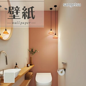 SP2537 ǎ ̂Ȃ ʎYNX TQc