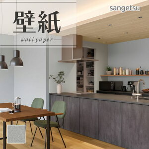 SP2541 ǎ ̂Ȃ ʎYNX TQc