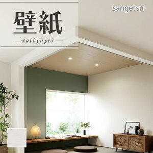 SP2543 ǎ ̂Ȃ ʎYNX TQc