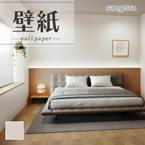 SP2559 ǎ ̂Ȃ ʎYNX TQc
