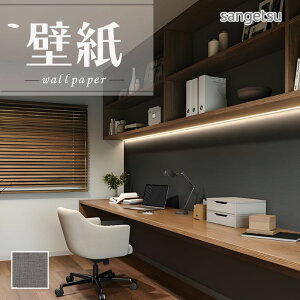 SP2562 ǎ ̂Ȃ ʎYNX TQc