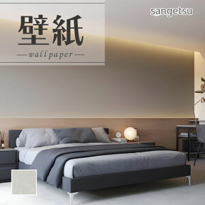 SP2563 ǎ ̂Ȃ ʎYNX TQc