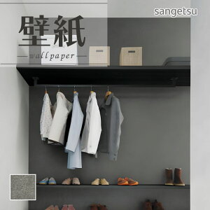 SP2565 ǎ ̂Ȃ ʎYNX TQc