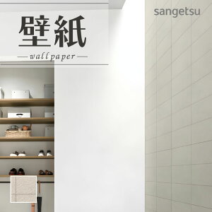 SP2566 ǎ ̂Ȃ ʎYNX TQc