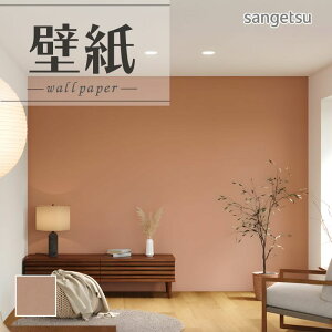 SP2587 ǎ ̂t ̂Ȃ ʎYNX TQc