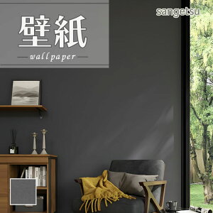 SP2590 ǎ ̂t ̂Ȃ ʎYNX TQc