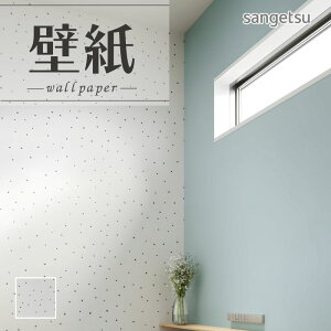 SP2591 ǎ ̂t ̂Ȃ ʎYNX TQc