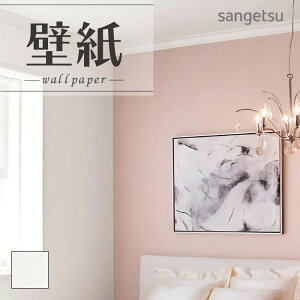 SP2508 ǎ ̂Ȃ ʎYNX TQc