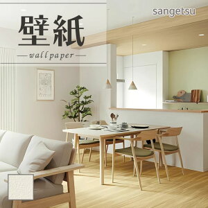 SP2506 ǎ ̂Ȃ ʎYNX TQc