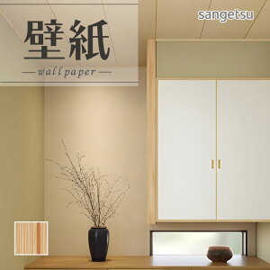 SP2605 ǎ ̂Ȃ ʎYNX TQc