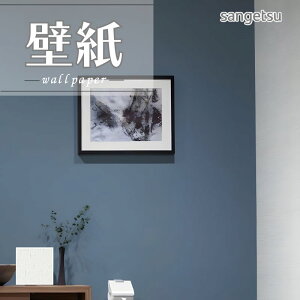 SP2579 ǎ ̂Ȃ ʎYNX TQc