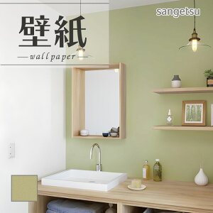 SP2584 ǎ ̂Ȃ ʎYNX TQc