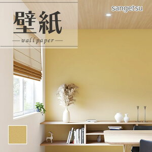 SP2585 ǎ ̂Ȃ ʎYNX TQc