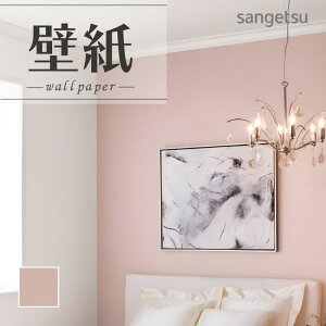 SP2586 ǎ ̂Ȃ ʎYNX TQc