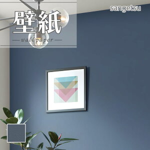 SP2589 ǎ ̂Ȃ ʎYNX TQc