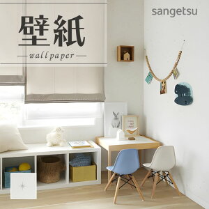 SP2595 ǎ ̂Ȃ ʎYNX TQc