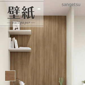 SP2569 ǎ ̂Ȃ ʎYNX TQc