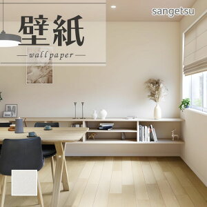 SP2547 ǎ ̂Ȃ ʎYNX TQc