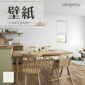 SP2513 ǎ ̂Ȃ ʎYNX TQc